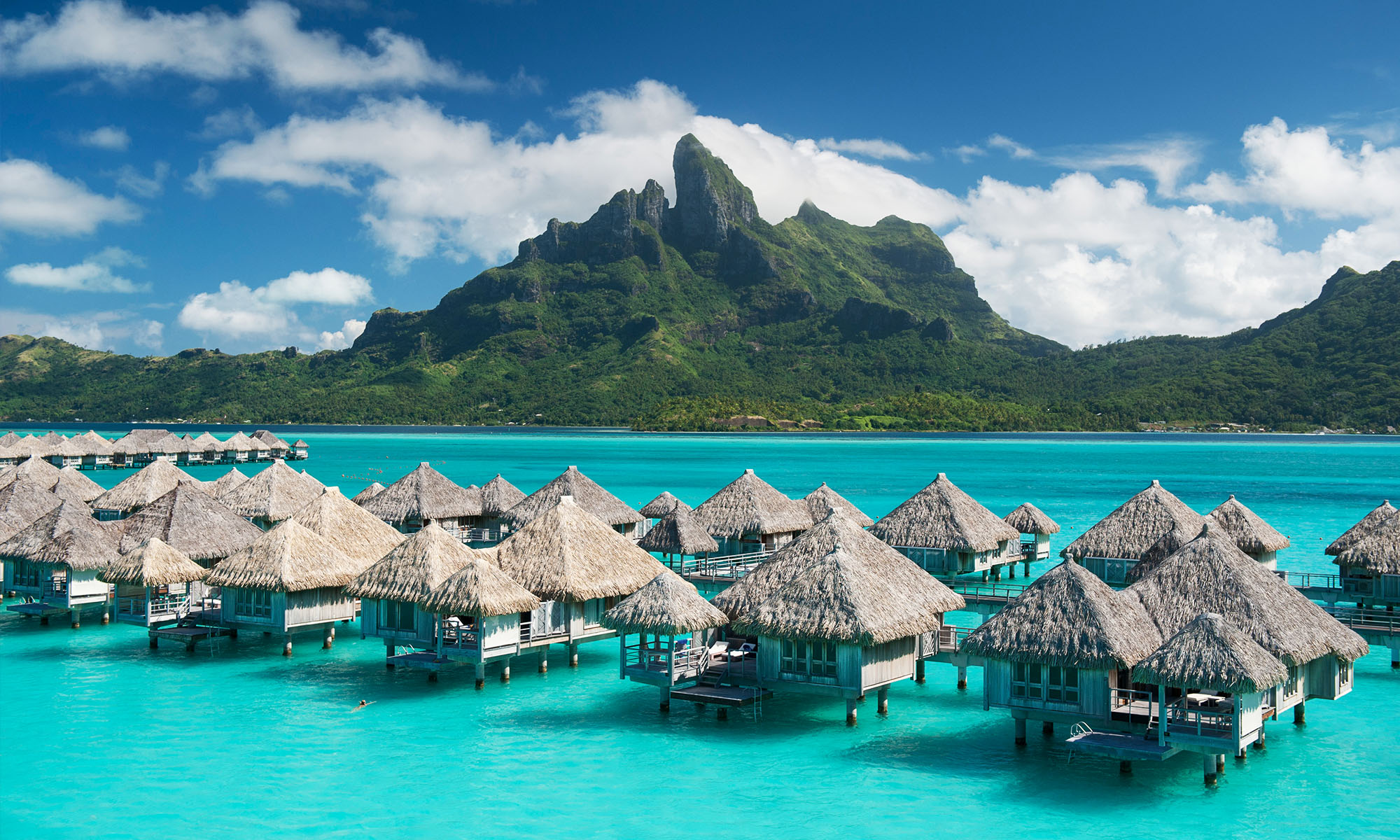 OCEÁNIE Archivy ALOHA pátek
